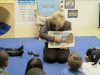 Governor-Perdue-visits-preschool-Classroom-4
