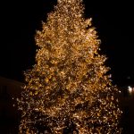 Raleigh holiday events for families