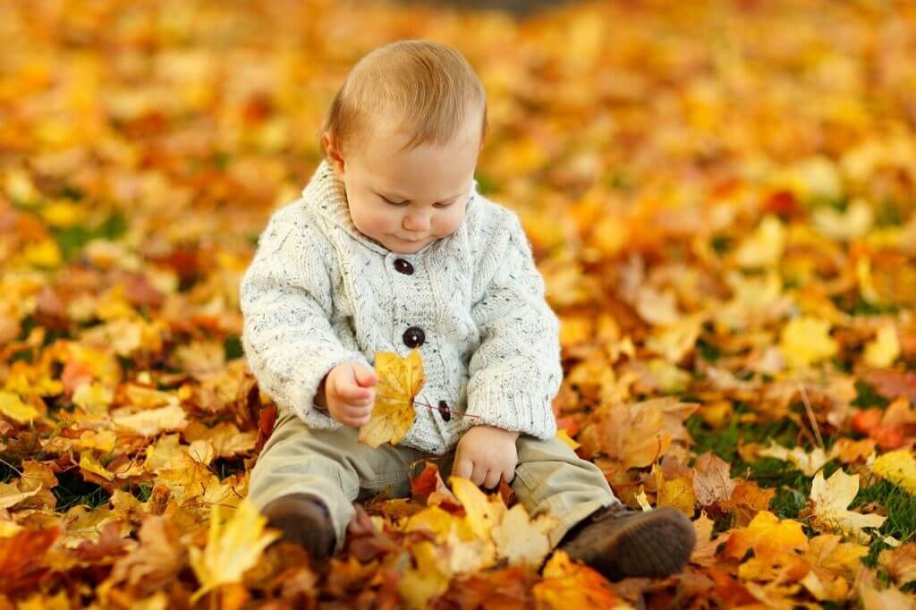 toddler in leaves