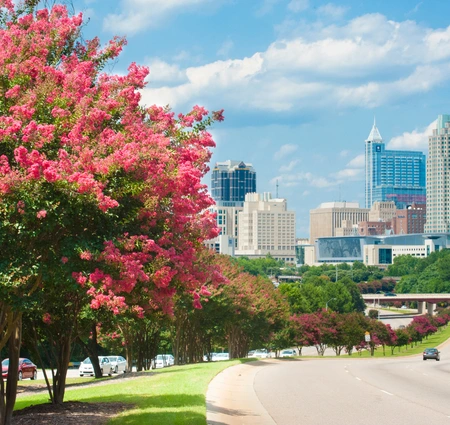 Raleigh skyline taken from a park, highlighting preschool nature activities, nature activities for kids, nature lesson plans for preschoolers, nature activities for preschoolers, nature preschool activities.