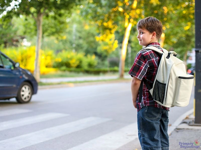 A boy stands near a crosswalk. This image complements the blog post addressing road safety for kids and school road safety rules for kids.